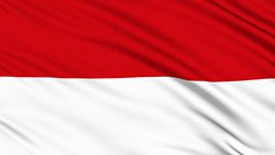 flag